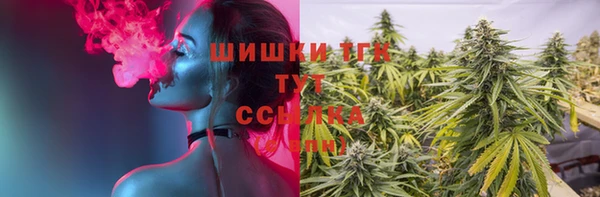 гашик Каменногорск