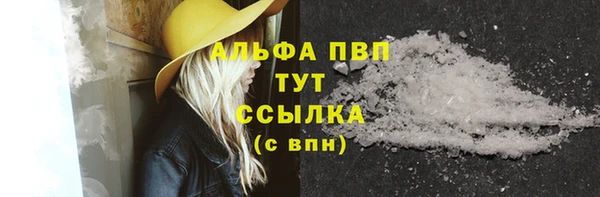 гашик Каменногорск