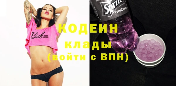 гашик Каменногорск