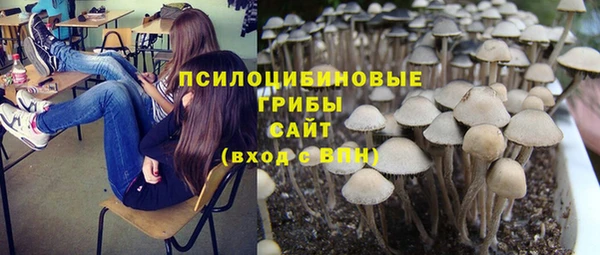 гашик Каменск-Шахтинский