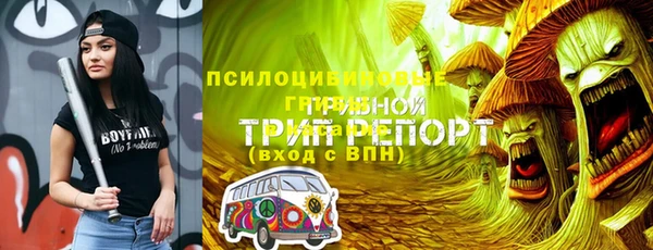 гашик Каменск-Шахтинский