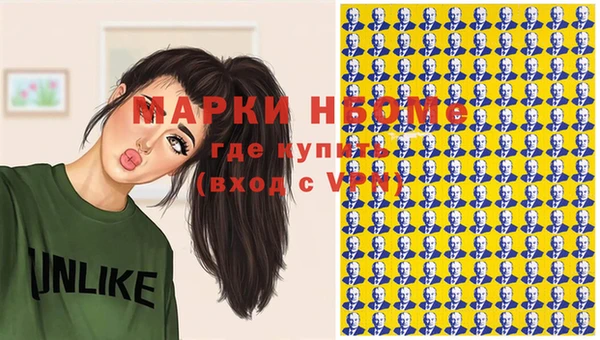 гашик Каменногорск