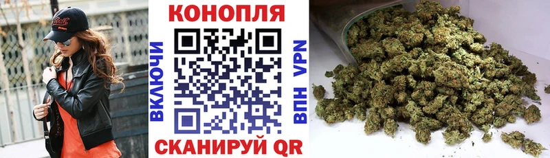 Марихуана индика  Суджа 